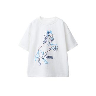 تیشرت پسرانه زارا - 00377907