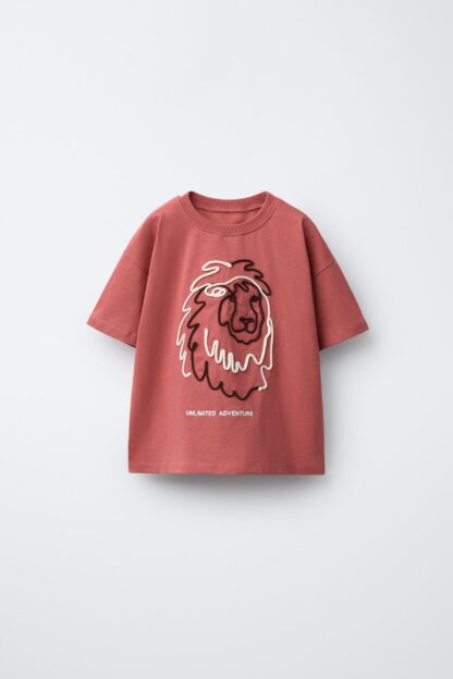 تیشرت پسرانه زارا - 00377908