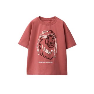 تیشرت پسرانه زارا - 00377908