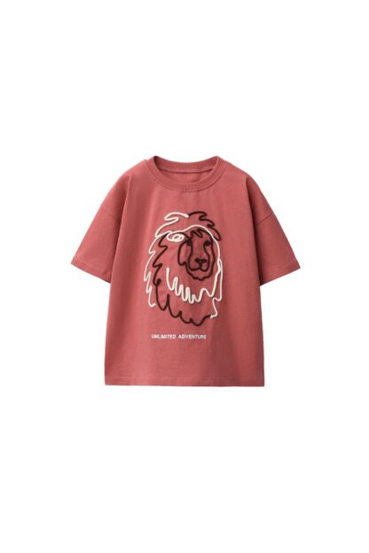 تیشرت پسرانه زارا - 00377908