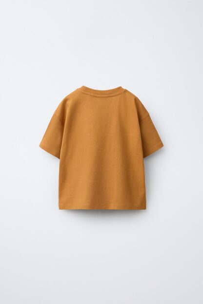 تیشرت پسرانه زارا - 00722539