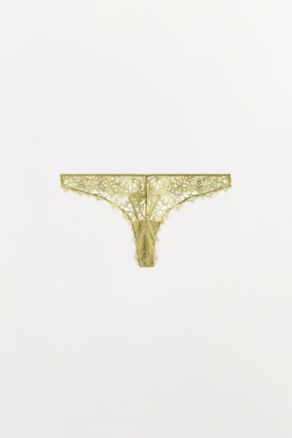 DANTELLİ TANGA