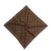 شال مردانه زارا - 03920439