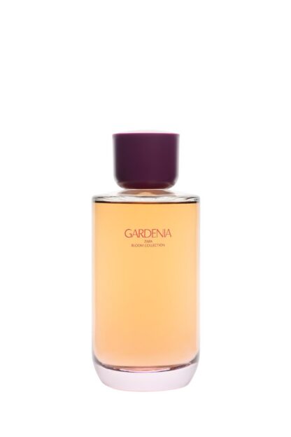 عطر زنانه زارا - 20120827