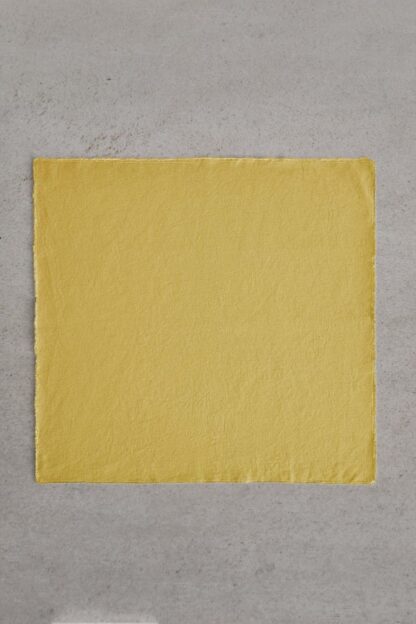 NAPKIN 01