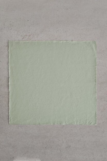 NAPKIN 01
