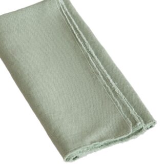 NAPKIN 01
