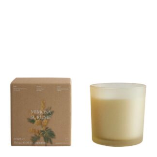 شمع زارا - 46426705