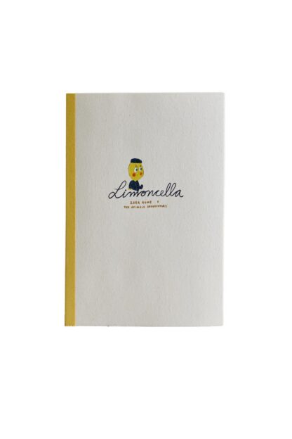 LİMONCELLA X THE ANIMALS OBSERVATORY A5 DEFTER