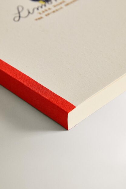LİMONCELLA X THE ANIMALS OBSERVATORY A4 DEFTER