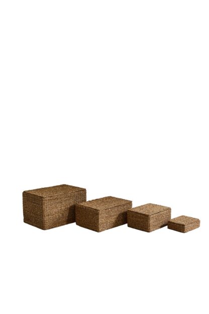 سبد زارا - 49782049